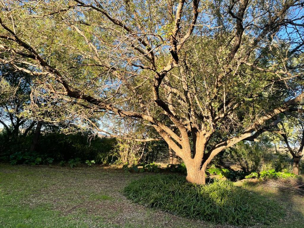 Heeltevrede Self-Catering Farmhouse Villa Bloemfontein Eksteriør bilde